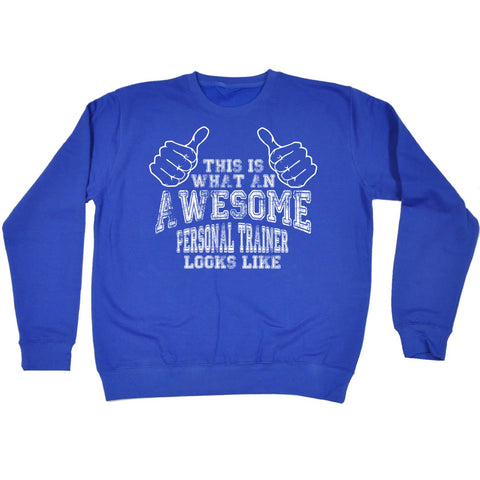 123t - This Is What An Awesome Personal Trainer Looks Like - Gym Bodybuild Train - PREMIUM COTTON SWEATSHIRT